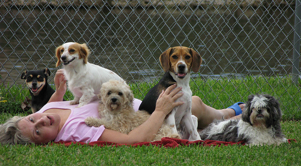 Second slide: A woman lying in the grass, surrounded by small dogs